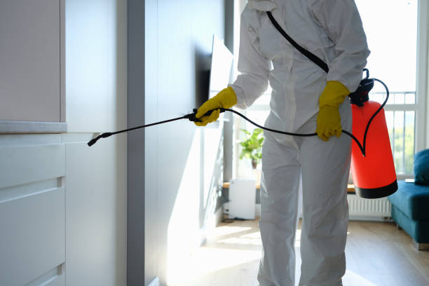 Best Attic Mold Removal  in Mount Vernon, IA