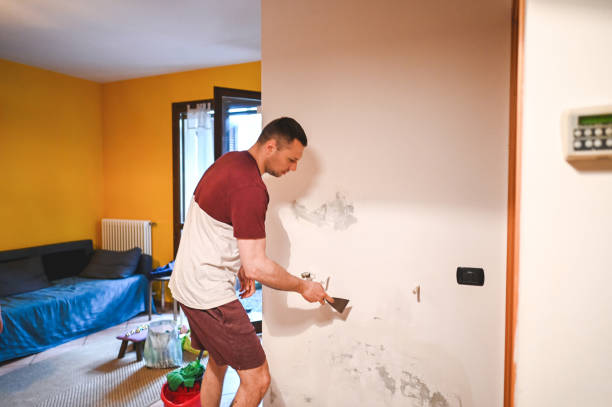 Best Black Mold Removal  in Mount Vernon, IA